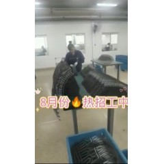 浙江江山電熱棒廠  長(zhǎng)白班～兩班倒   男18-55，女18-50周歲