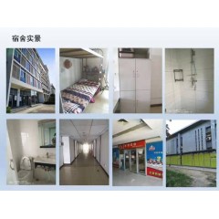 北京電子廠  招聘  女158以上，男165以上，年齡16-40歲
