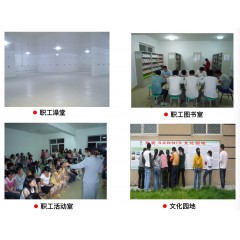 山東山孚日水有限公司招聘信息 男女不限，18-45周歲，