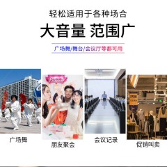手提話筒音響 迷你低音炮 無線藍牙音箱 戶外便攜廣場舞