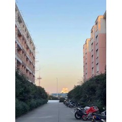 南京中電熊貓晶體  招聘：男18-35周歲，女18-40周歲。
