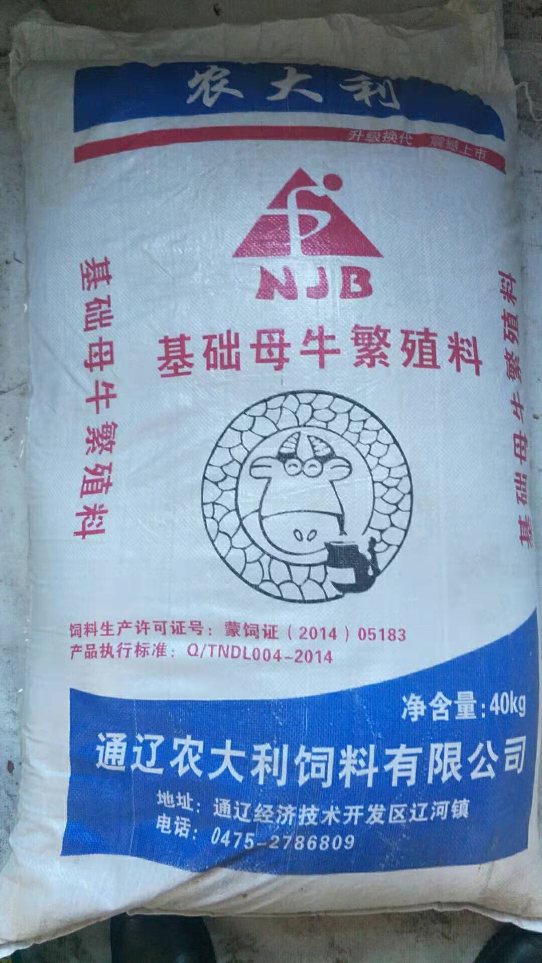 母牛繁殖.jpg